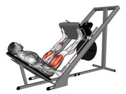 Leg press a 45 gradi a gambe larghe alla sled machine