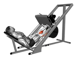 Calf press alla leg press con sled machine