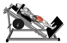 Hack squat completo alla sled machine