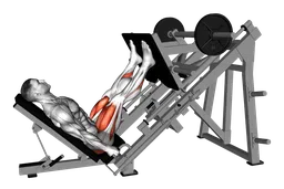 Leg press glutei dominante alla sled machine