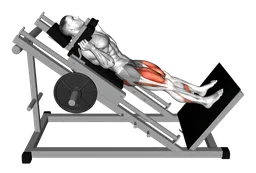 Hack squat alla sled machine