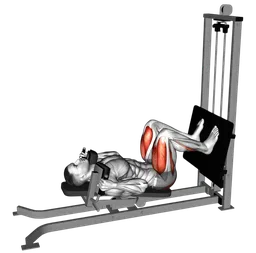Squat sdraiato alla sled machine