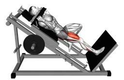 Hack squat a una gamba alla sled machine