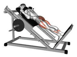 Reverse hack squat alla sled machine