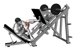 Side leg press alla sled machine