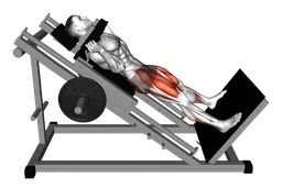 Hack squat a gambe larghe alla sled machine