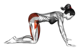 Posizione del cigno addormentato yoga
