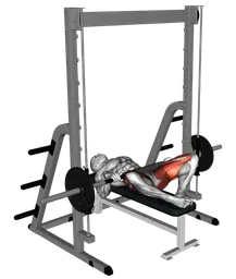 Frog hip thrust al multipower
