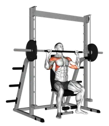 Shoulder press da seduto al multipower