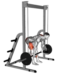 Stacco a gambe tese al multipower