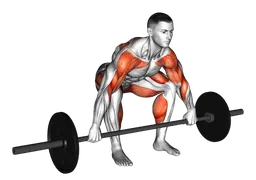 Snatch high pull