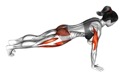 Push-up a ragno con avanzamento