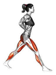 Split squat con alzata del tallone