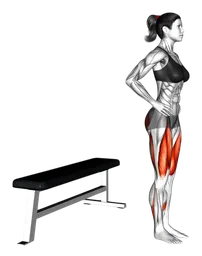 Split squat