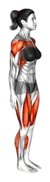Saltelli dello sprinter