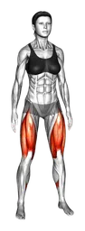 Squat e 5 molleggi