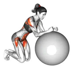 Rollout con stability ball in ginocchio