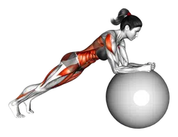 Rollout con stability ball