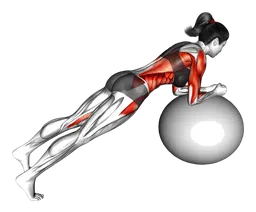Rollout arrotondato con stability ball