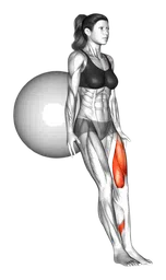 Squat su una gamba con stability ball