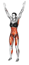 Sollevamento gambe alternato con lat pulldown in piedi