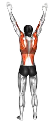 Lat pulldown in piedi