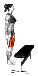Step-up