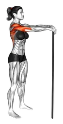 Stretching dorsali con bastone