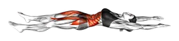 Sit-up a gambe tese