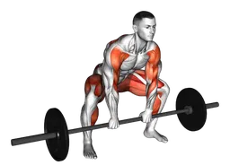 Stacco sumo high pull