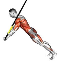 Chest press to rollout ai cavi