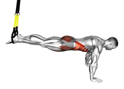 Crunch inverso ai cavi (Sistema di sospensione (TRX o simile))