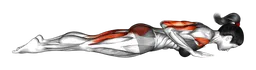 Swan dive pilates