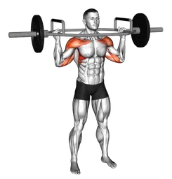 Overhead press con trap bar