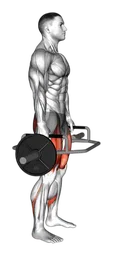Squat con trap bar