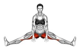 Posizione yoga Upavishta Konasana