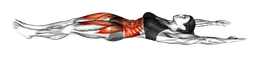 Mantenimento V-up