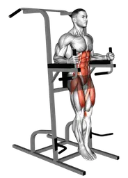 Sollevamento verticale delle gambe (alle parallele)