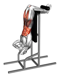 Sit-up verticale