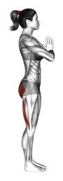 Posizione del guerriero III