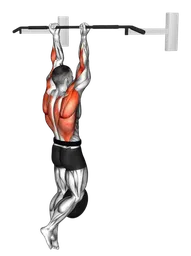 Chin-up zavorrato