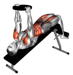 Sit-up su panca declinata zavorrato