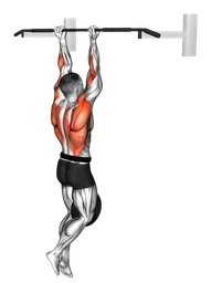 Chin-up sospeso zavorrato