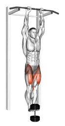 Sollevamento gambe tese appese zavorrato