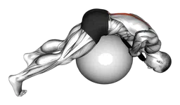 Iperestensioni con sovraccarico (su fitball)