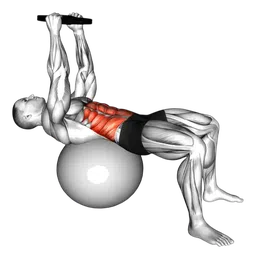 Crunch overhead con sovraccarico (su fitball)