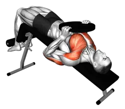 Chest press declinata con disco