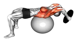 Pullover con disco su stability ball