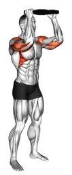 Overhead press in piedi con disco