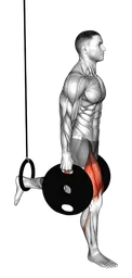 Bulgarian split squat con dischi e anello